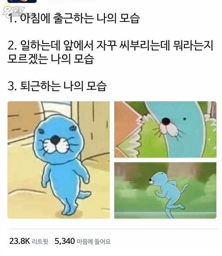 16812036276825.jpg
