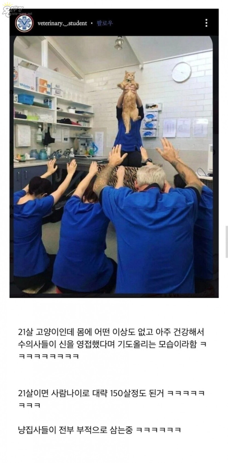 16812705297508.jpg