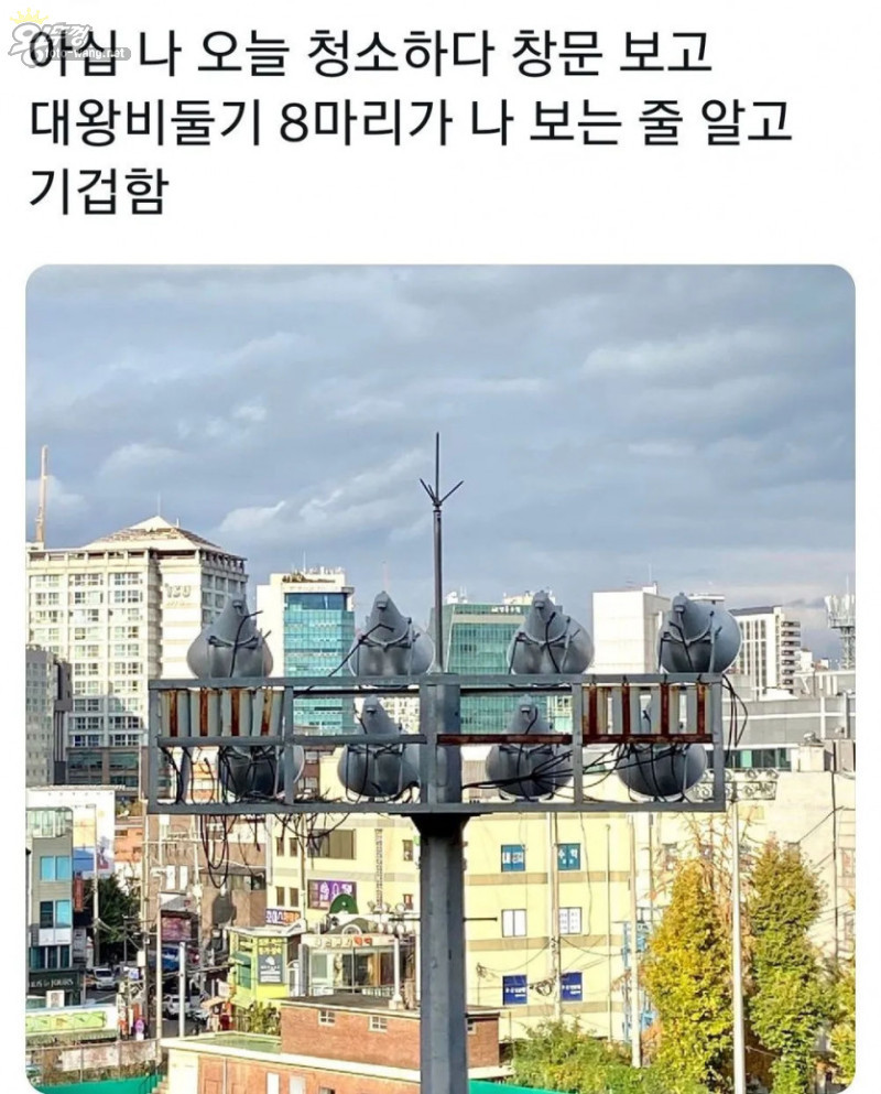 16833628334838.jpg