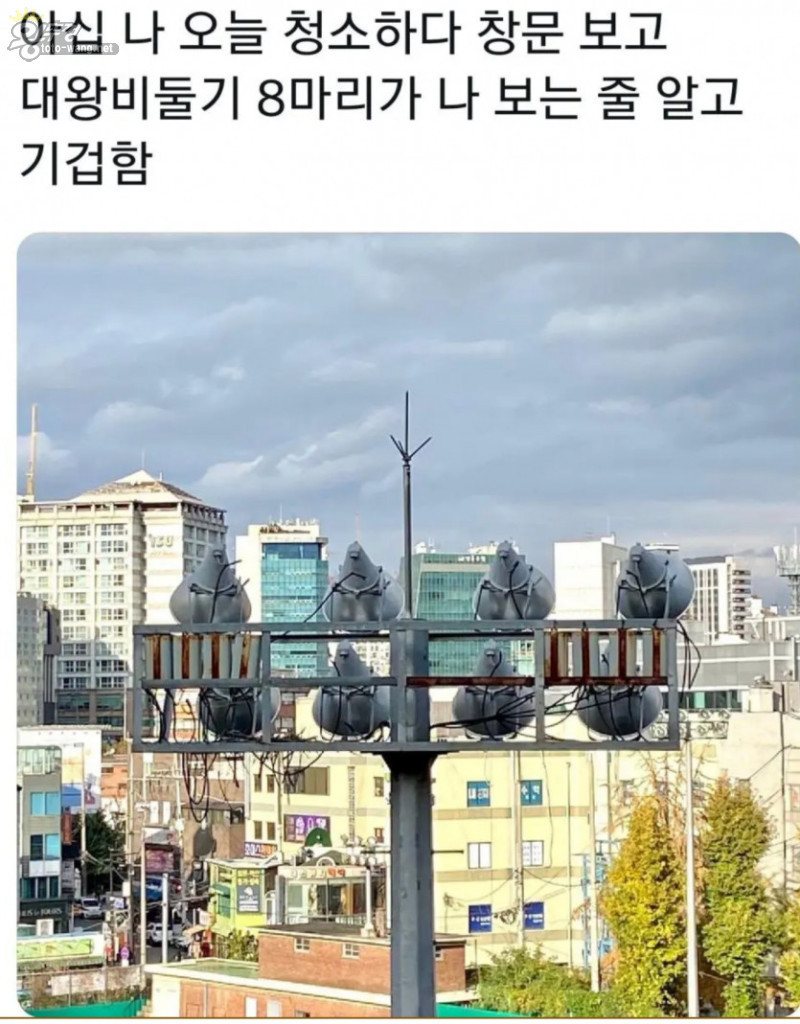 16834501742125.jpg