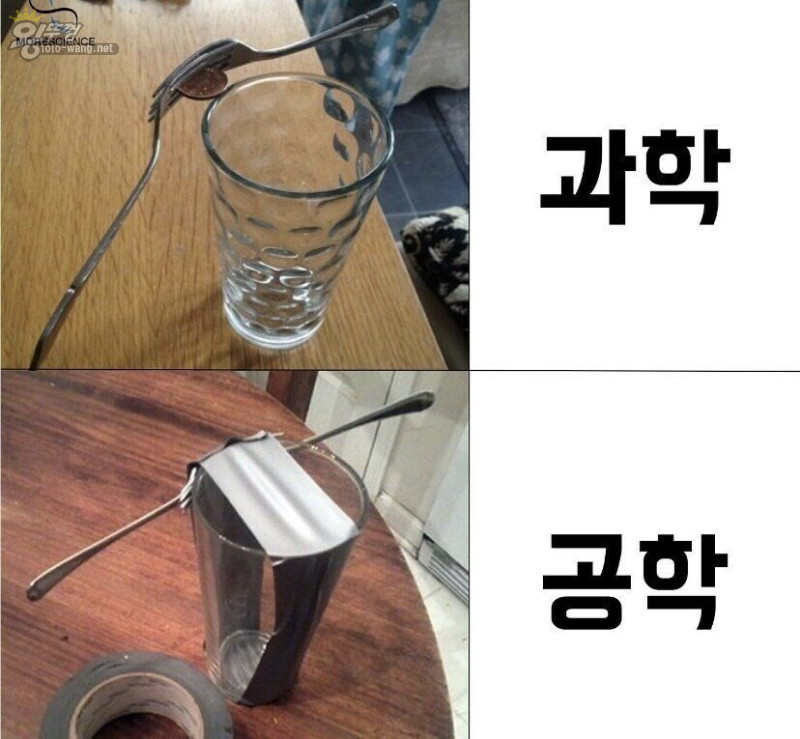 1683542871358.jpg